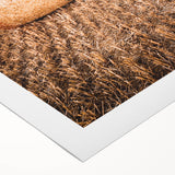 Farmhouse Wall Art of Hay Bales in Field – Rustic Country Style Decor