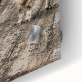 Farmhouse Wall Art – Rustic Highland Cows in Nature – Country Style Decor