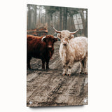 Farmhouse Wall Art – Rustic Highland Cows in Nature – Country Style Decor