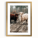 Farmhouse Wall Art – Rustic Highland Cows in Nature – Country Style Decor