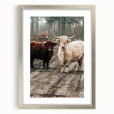 Farmhouse Wall Art – Rustic Highland Cows in Nature – Country Style Decor