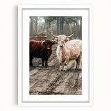 Farmhouse Wall Art – Rustic Highland Cows in Nature – Country Style Decor