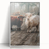 Farmhouse Wall Art – Rustic Highland Cows in Nature – Country Style Decor