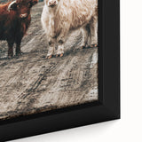 Farmhouse Wall Art – Rustic Highland Cows in Nature – Country Style Decor