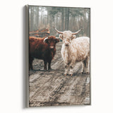 Farmhouse Wall Art – Rustic Highland Cows in Nature – Country Style Decor
