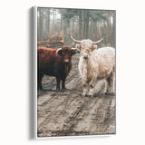 Farmhouse Wall Art – Rustic Highland Cows in Nature – Country Style Decor