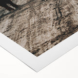 Farmhouse Wall Art – Rustic Highland Cows in Nature – Country Style Decor