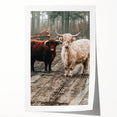 Farmhouse Wall Art – Rustic Highland Cows in Nature – Country Style Decor