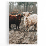 Farmhouse Wall Art – Rustic Highland Cows in Nature – Country Style Decor