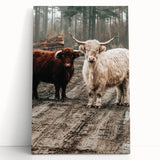 Farmhouse Wall Art – Rustic Highland Cows in Nature – Country Style Decor
