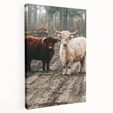 Farmhouse Wall Art – Rustic Highland Cows in Nature – Country Style Decor