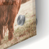 Farmhouse Wall Art – Rustic Highland Cow Portrait – Country Style Decor