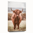 Farmhouse Wall Art – Rustic Highland Cow Portrait – Country Style Decor