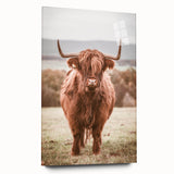Farmhouse Wall Art – Rustic Highland Cow Portrait – Country Style Decor