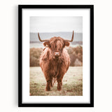 Farmhouse Wall Art – Rustic Highland Cow Portrait – Country Style Decor