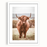 Farmhouse Wall Art – Rustic Highland Cow Portrait – Country Style Decor