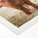 Farmhouse Wall Art – Rustic Highland Cow Portrait – Country Style Decor