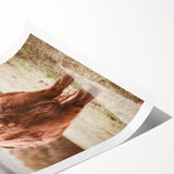 Farmhouse Wall Art – Rustic Highland Cow Portrait – Country Style Decor