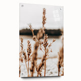 Farmhouse Wall Art – Rustic Wheat Field Close-Up – Country Style Decor