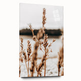 Farmhouse Wall Art – Rustic Wheat Field Close-Up – Country Style Decor