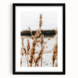 Farmhouse Wall Art – Rustic Wheat Field Close-Up – Country Style Decor