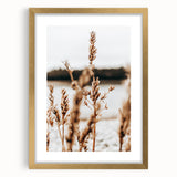 Farmhouse Wall Art – Rustic Wheat Field Close-Up – Country Style Decor