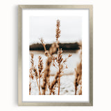 Farmhouse Wall Art – Rustic Wheat Field Close-Up – Country Style Decor