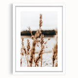 Farmhouse Wall Art – Rustic Wheat Field Close-Up – Country Style Decor