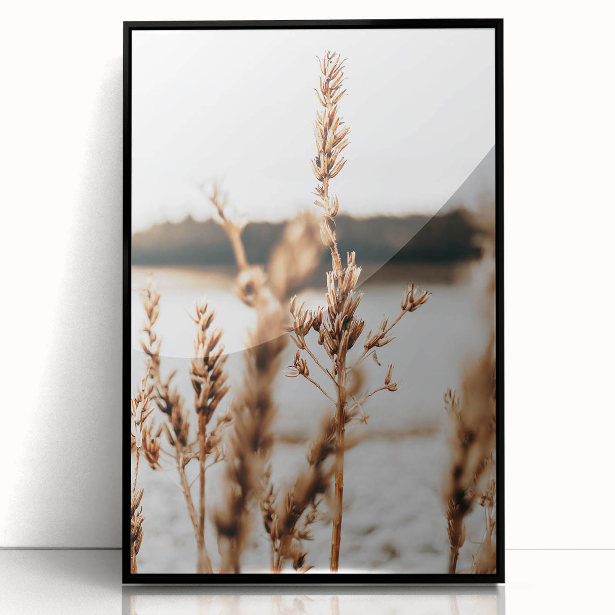 Farmhouse Wall Art – Rustic Wheat Field Close-Up – Country Style Decor