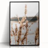 Farmhouse Wall Art – Rustic Wheat Field Close-Up – Country Style Decor