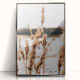 Farmhouse Wall Art – Rustic Wheat Field Close-Up – Country Style Decor