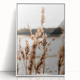 Farmhouse Wall Art – Rustic Wheat Field Close-Up – Country Style Decor