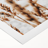 Farmhouse Wall Art – Rustic Wheat Field Close-Up – Country Style Decor