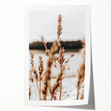 Farmhouse Wall Art – Rustic Wheat Field Close-Up – Country Style Decor