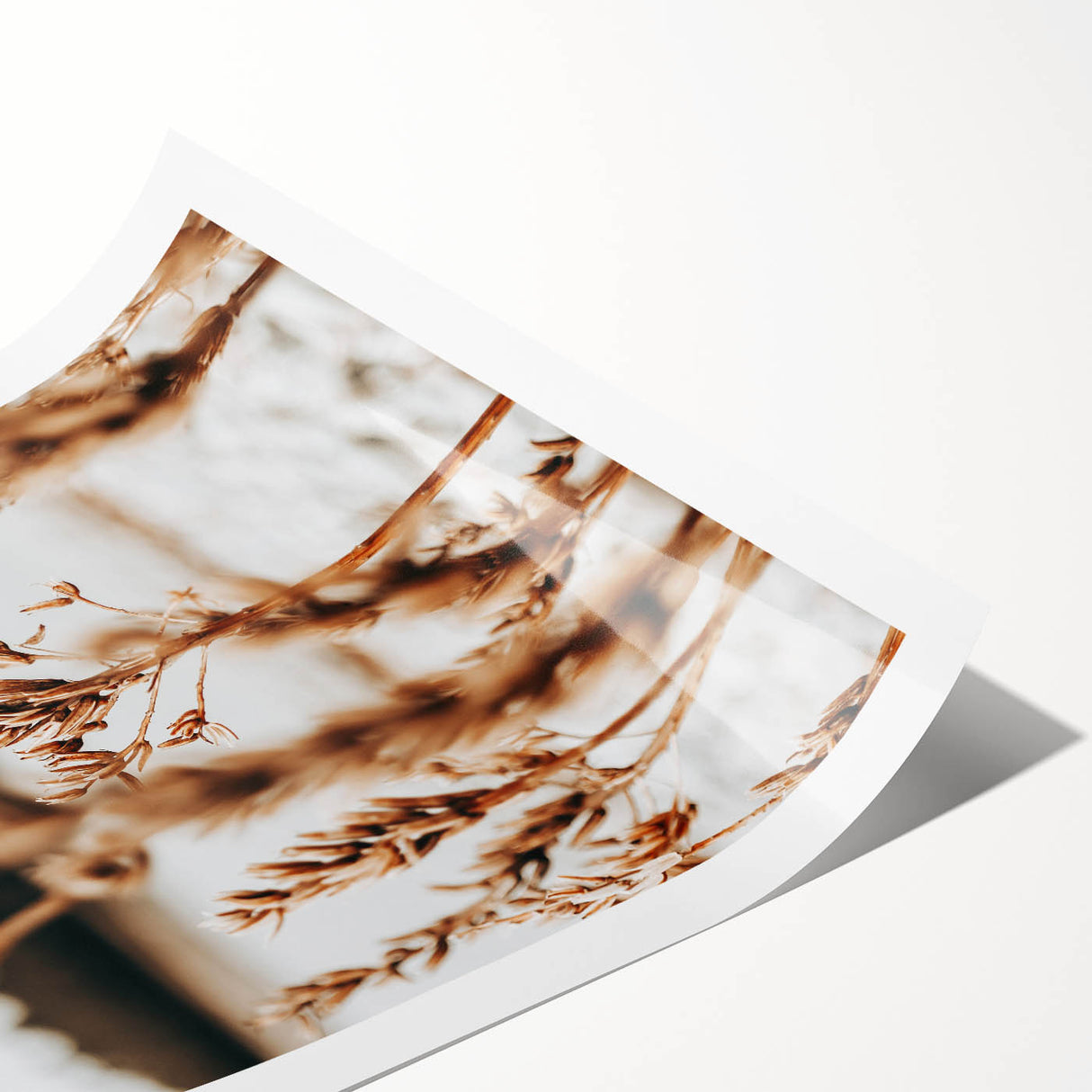 Farmhouse Wall Art – Rustic Wheat Field Close-Up – Country Style Decor