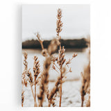 Farmhouse Wall Art – Rustic Wheat Field Close-Up – Country Style Decor