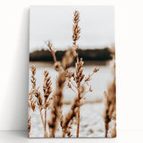 Farmhouse Wall Art – Rustic Wheat Field Close-Up – Country Style Decor