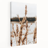 Farmhouse Wall Art – Rustic Wheat Field Close-Up – Country Style Decor