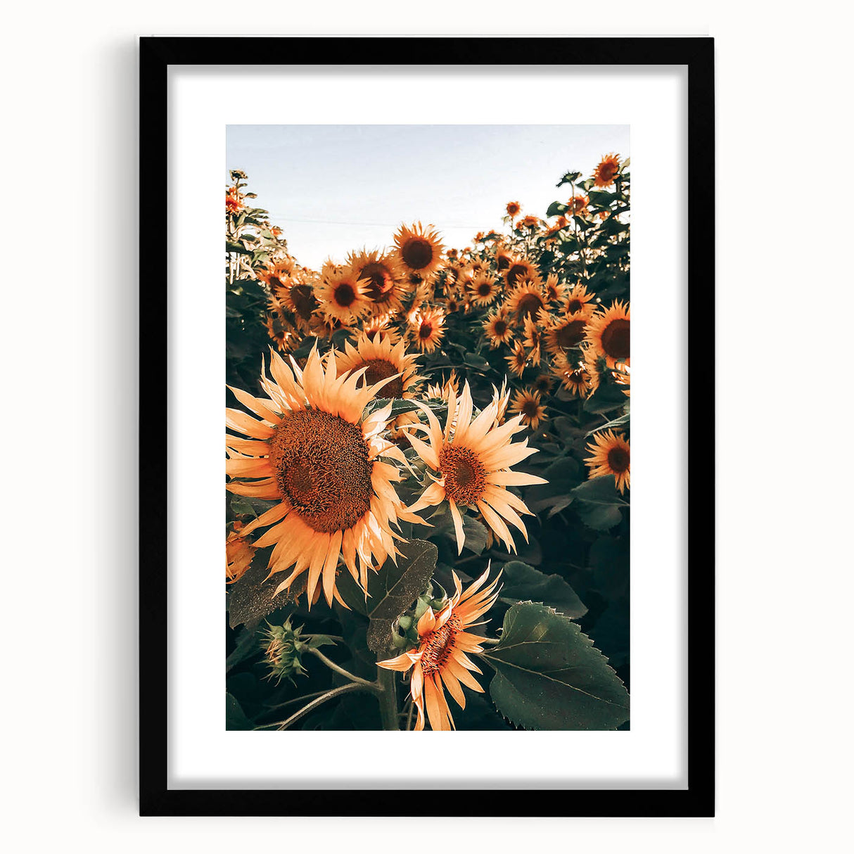Farmhouse Wall Art Sunflowers in Bloom | Rustic Country Style Decor