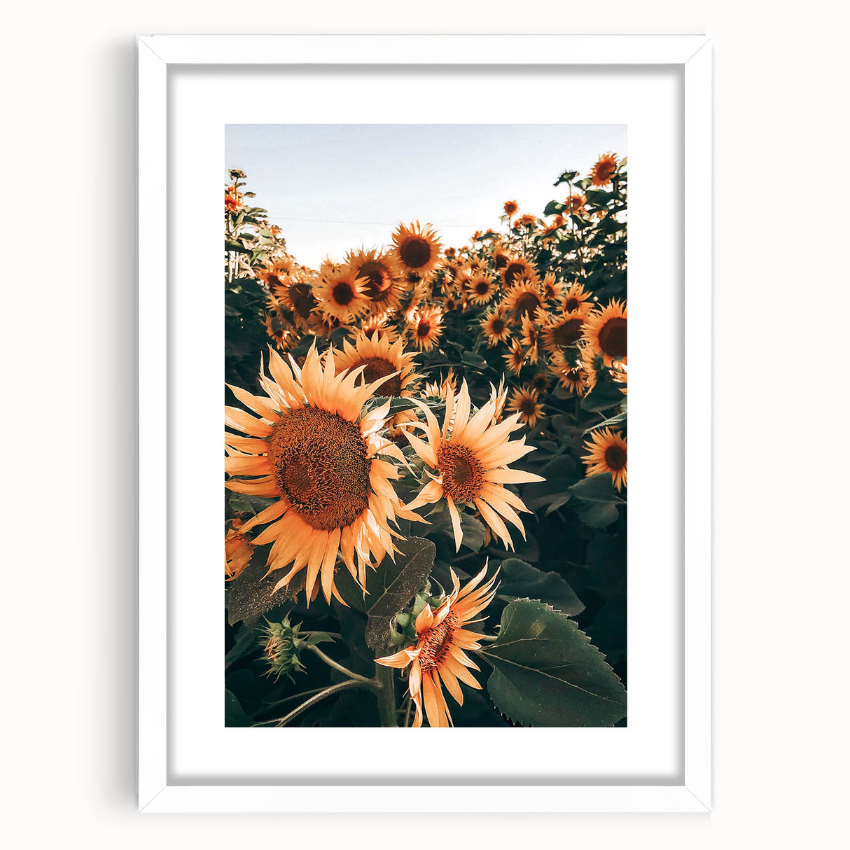 Farmhouse Wall Art Sunflowers in Bloom | Rustic Country Style Decor