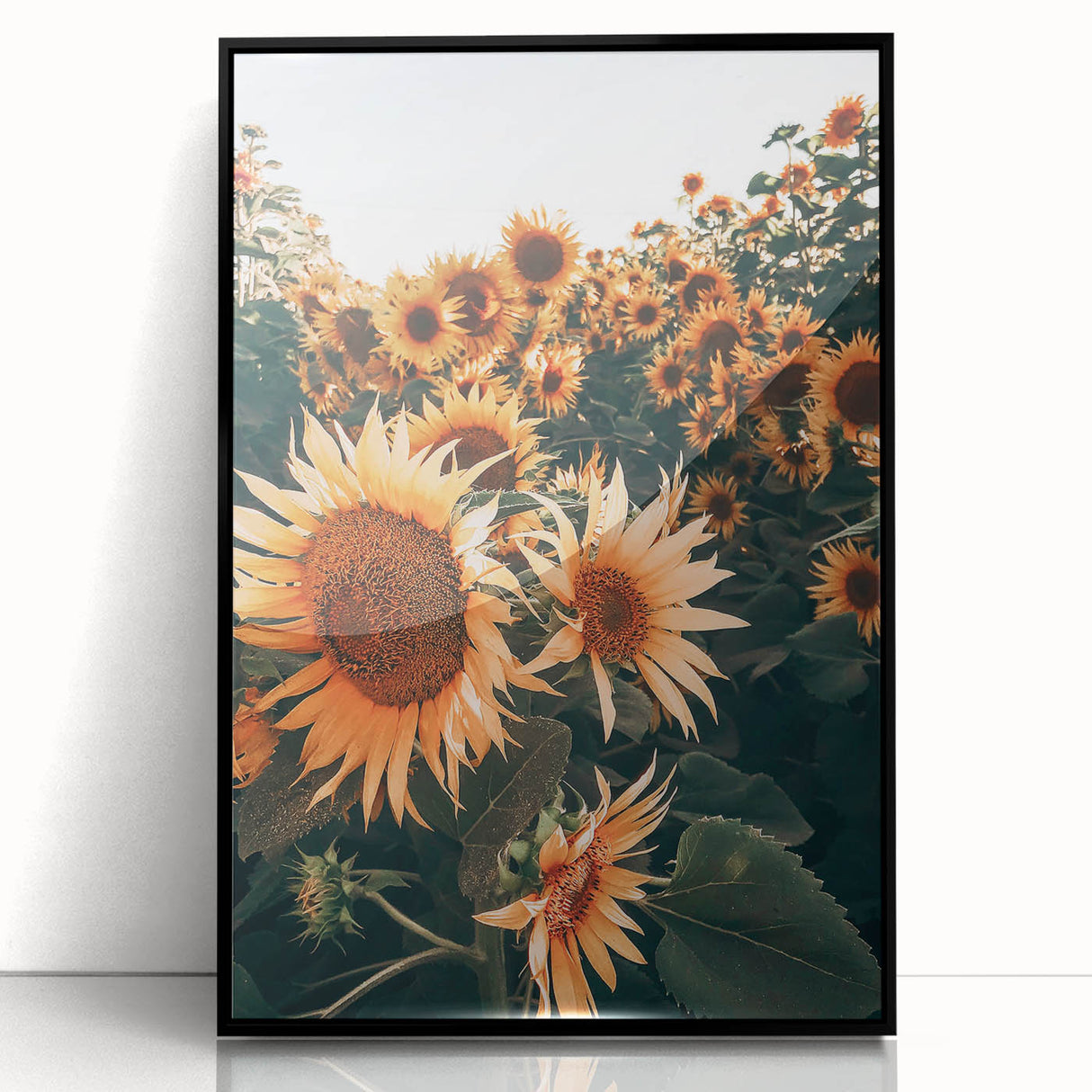 Farmhouse Wall Art Sunflowers in Bloom | Rustic Country Style Decor