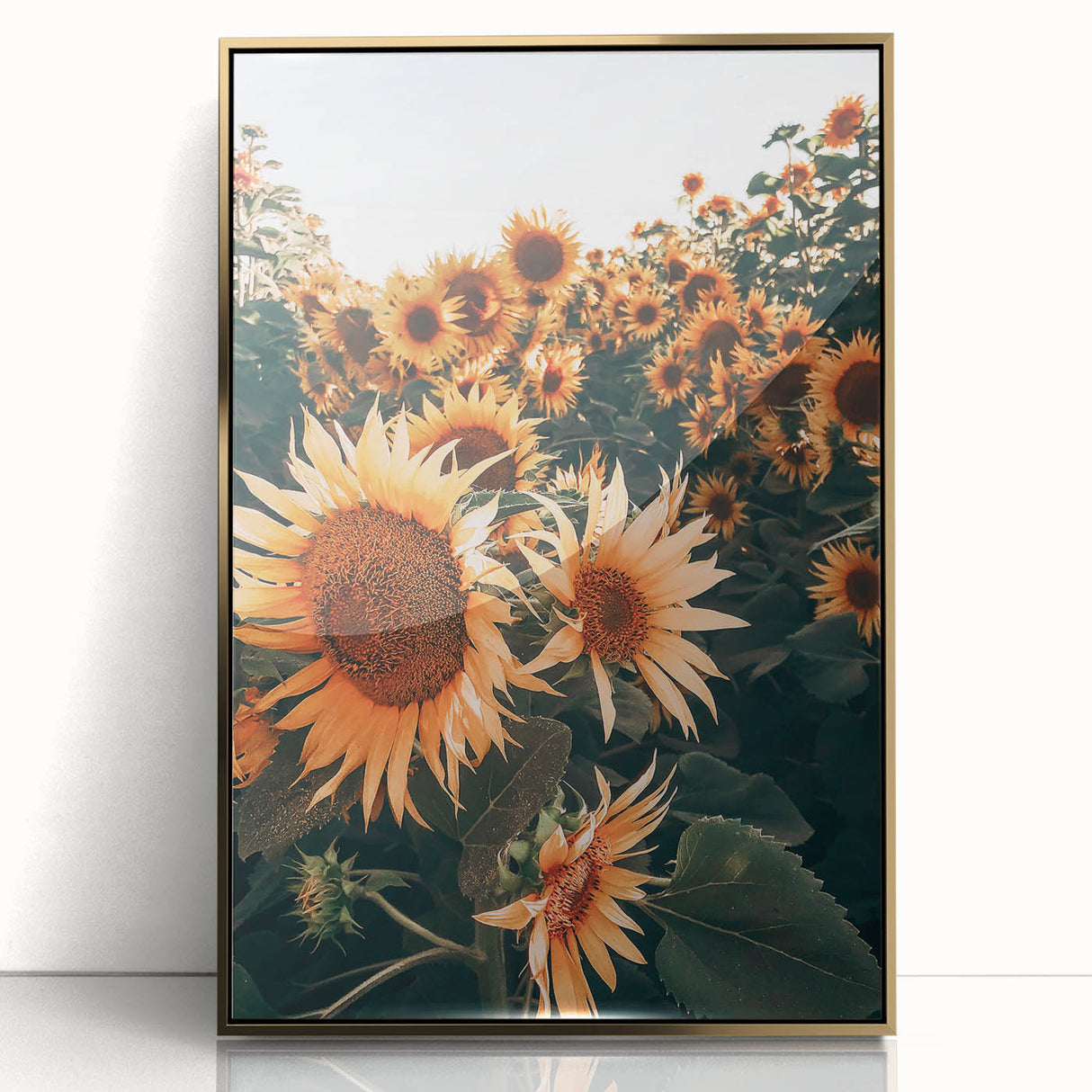 Farmhouse Wall Art Sunflowers in Bloom | Rustic Country Style Decor