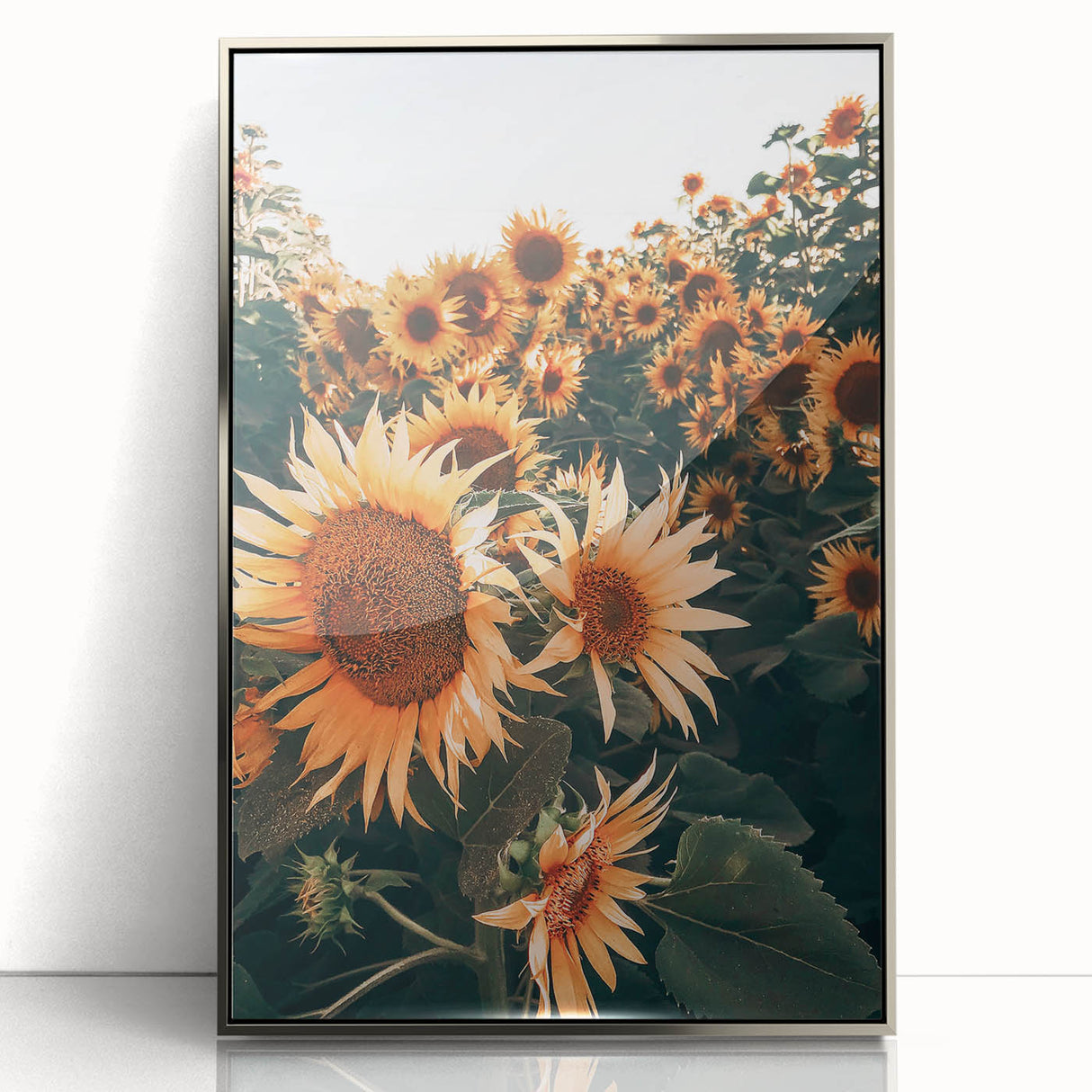 Farmhouse Wall Art Sunflowers in Bloom | Rustic Country Style Decor