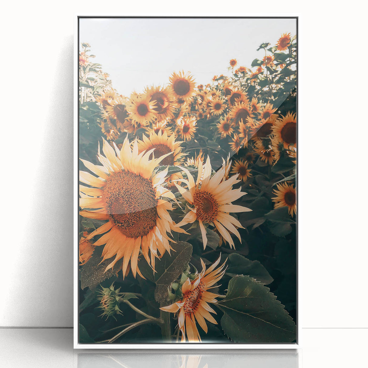 Farmhouse Wall Art Sunflowers in Bloom | Rustic Country Style Decor