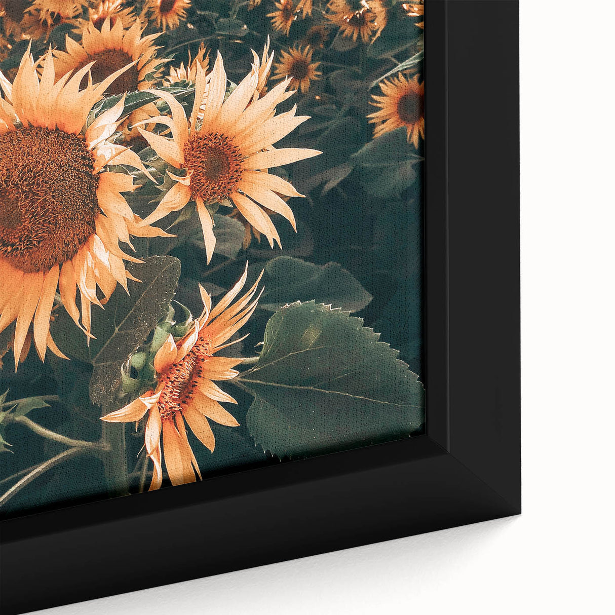 Farmhouse Wall Art Sunflowers in Bloom | Rustic Country Style Decor