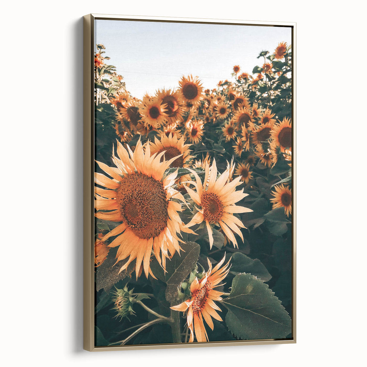 Farmhouse Wall Art Sunflowers in Bloom | Rustic Country Style Decor