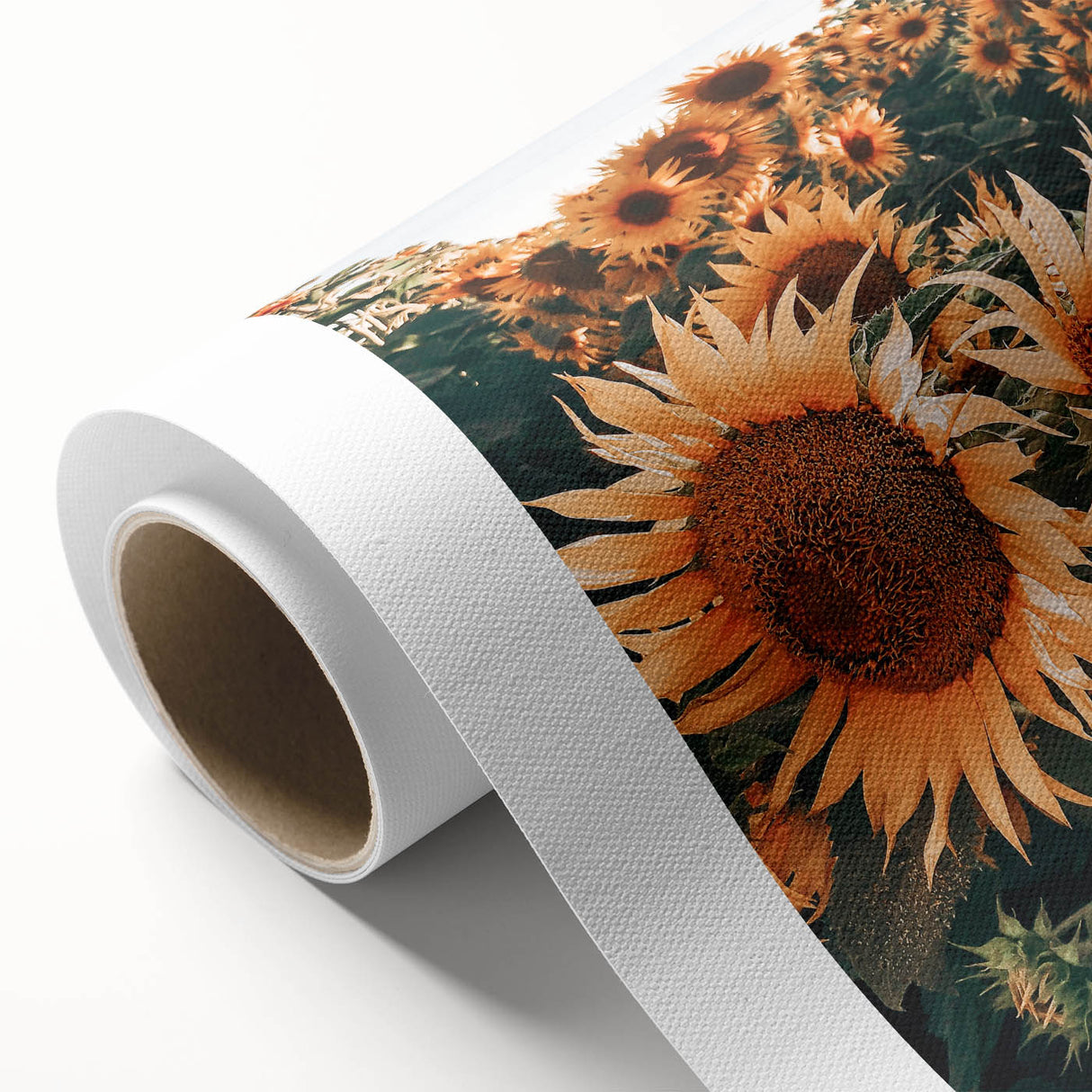Farmhouse Wall Art Sunflowers in Bloom | Rustic Country Style Decor