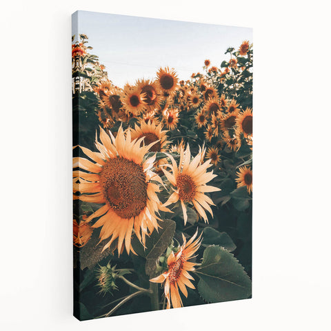 Farmhouse Wall Art Sunflowers in Bloom | Rustic Country Style Decor
