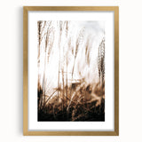 Farmhouse Wall Art – Serene Tall Grass in Nature – Rustic Decor