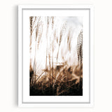 Farmhouse Wall Art – Serene Tall Grass in Nature – Rustic Decor
